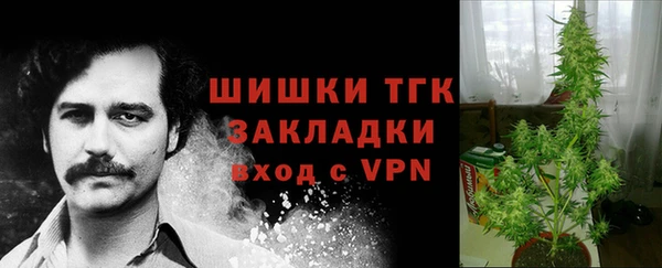 СК Алексин