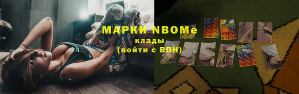 СК Алексин