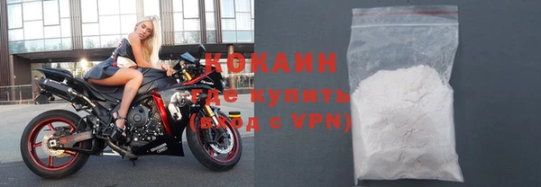 СК Алексин