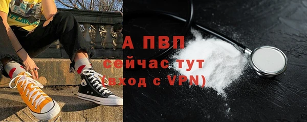 СК Алексин