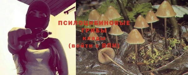 2c-b Алзамай
