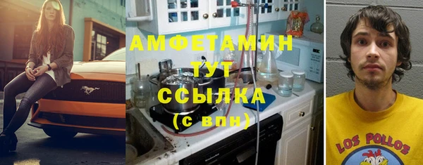 СК Алексин