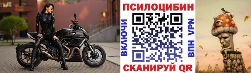 Галлюциногенные грибы Cubensis Андреаполь